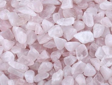 21-1-370x280 21-1-370x280