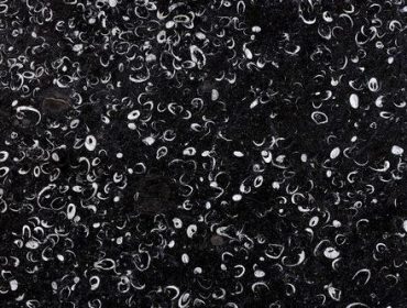 32-1-370x280 32-1-370x280