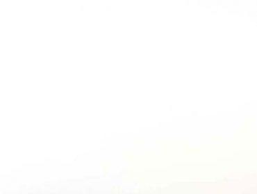 Artificial-white-370x280 Artificial-white-370x280