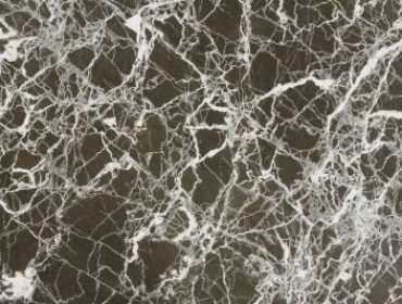 Baltic-Crocodile-370x280 Baltic-Crocodile-370x280