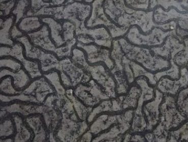 Columbian-Black-370x280 Columbian-Black-370x280