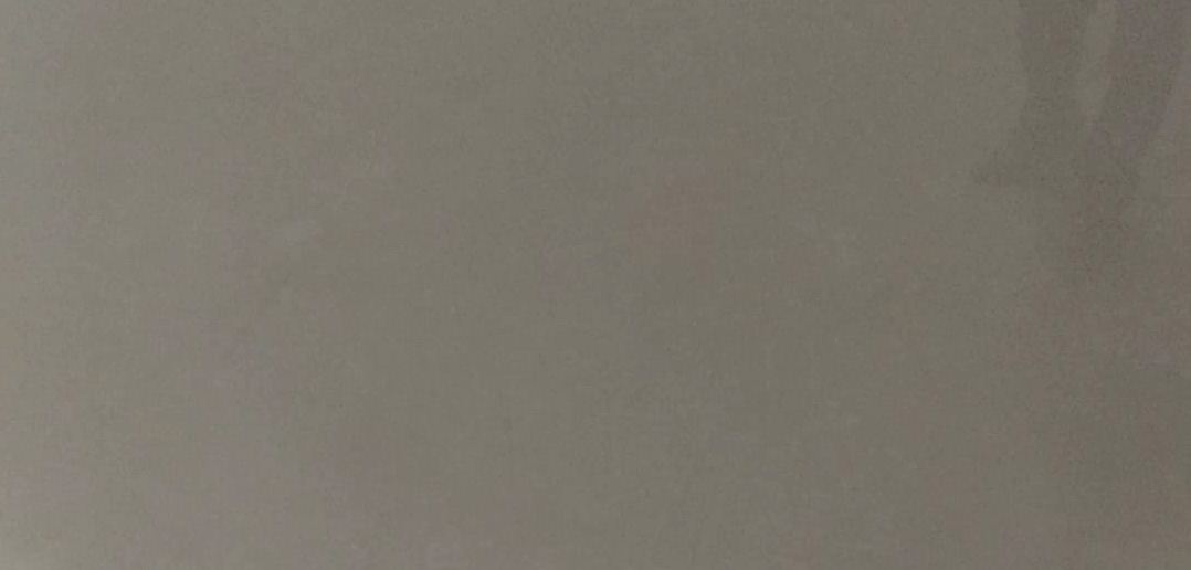 Dolphin-Gray Dolphin-Gray