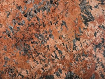 Exotic-Red-370x280 Exotic-Red-370x280