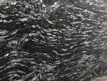 Fish-Black-370x280 Fish-Black-370x280