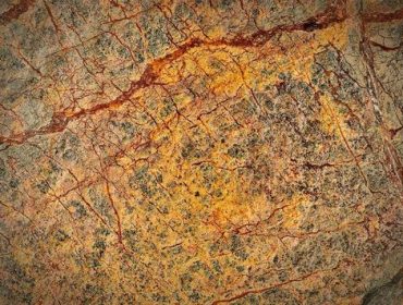 Forest-Brown-370x280 Forest-Brown-370x280