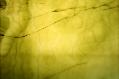 Exclusive Luxury Penthouse Bathroom Interior