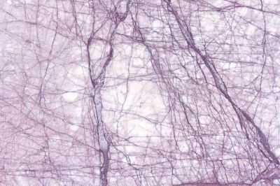 Exclusive Luxury Penthouse Bathroom Interior Exclusive Luxury Penthouse Bathroom Interior