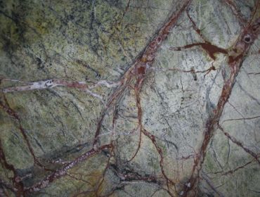 Rainforest-Green-370x280 Rainforest-Green-370x280