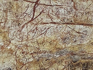 Rajasthan-Fantasy-Brown-370x280