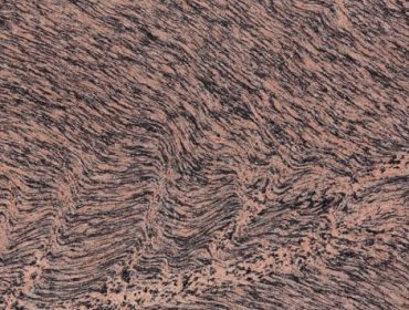 TIGER-SKIN-370x280 TIGER-SKIN-370x280