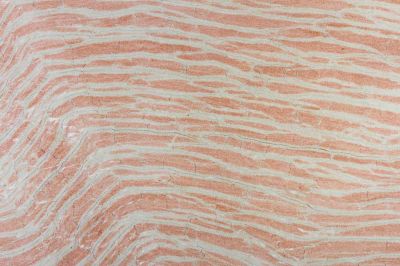 Exclusive Luxury Penthouse Bathroom Interior