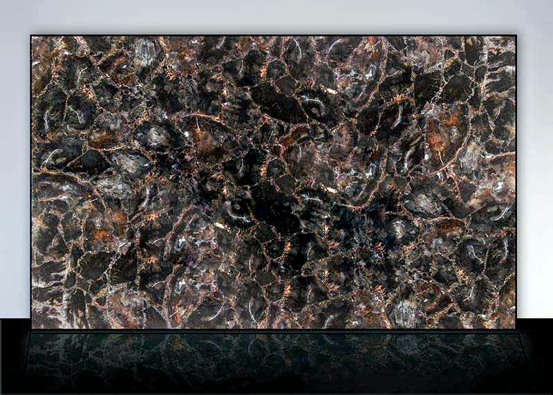 black-petrified-wood black-petrified-wood