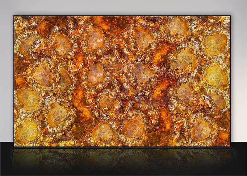 brown-petrified-wood brown-petrified-wood